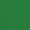 ico_0000s_0008_verde-scuro