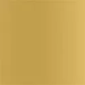 ico_0015_SPECCHIO-ORO