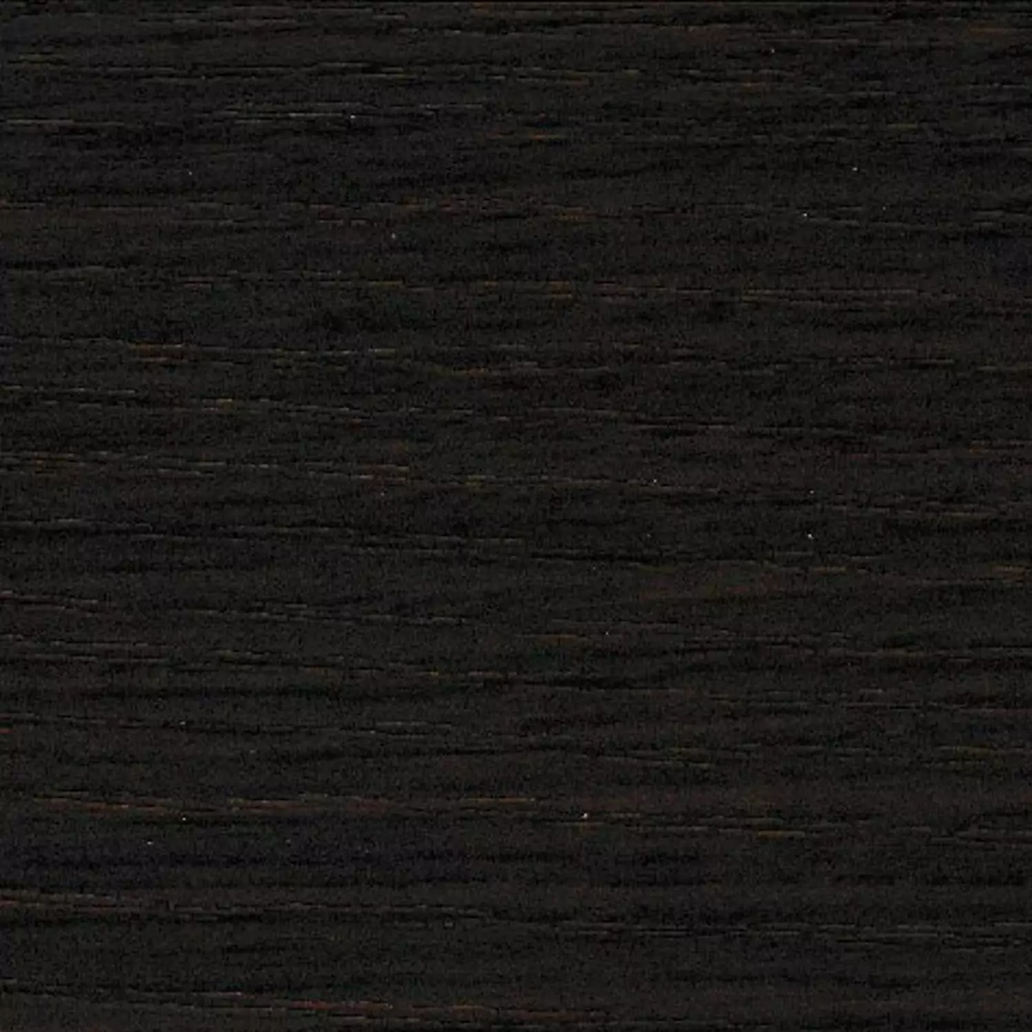 Rovere Olanda