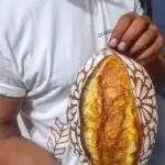 Decorative food stencil for artisan bread flour patterns